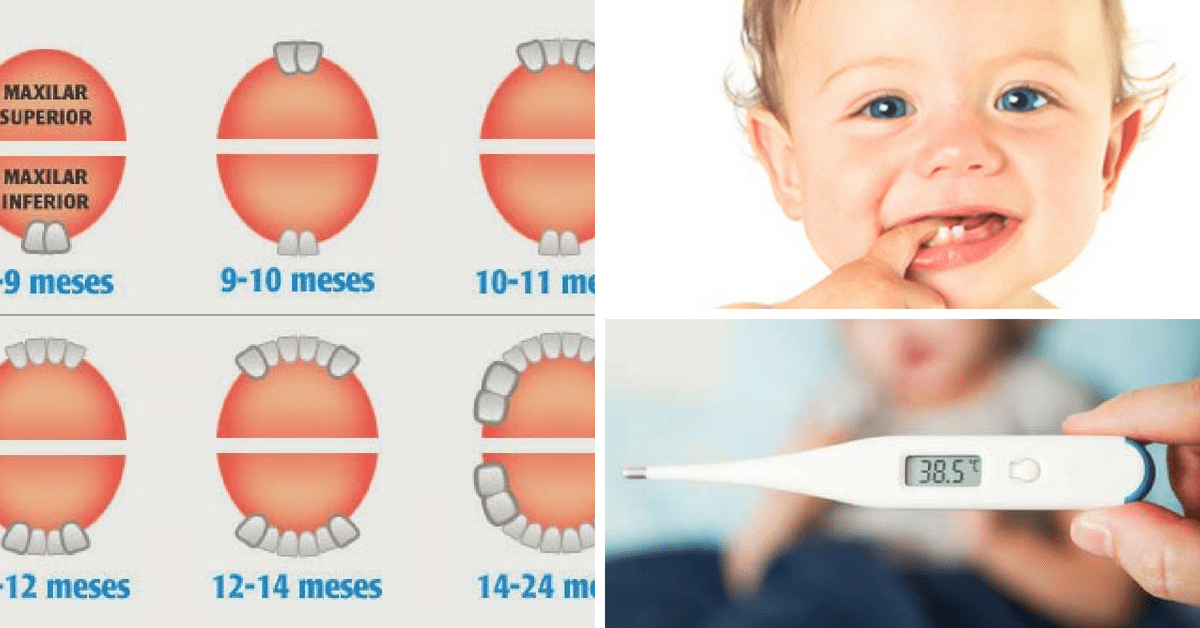 Nascimento dos Dentes Causa Febre nos Bebes?